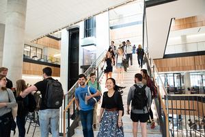 Hildebrand MBA at Texas McCombs