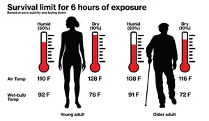 Heat Survivability Infographic