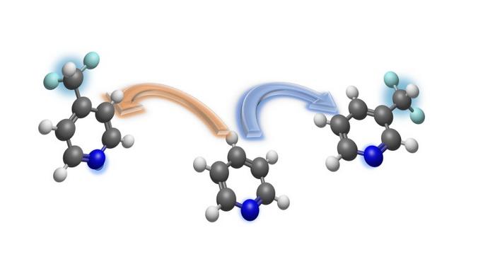 Introducing fluorinated components into molecules