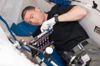 Astronaut Reid Wiseman Doing Research