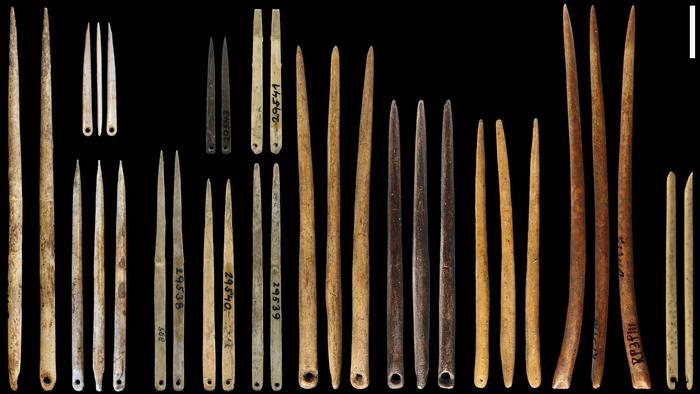 Eyed needles from the last ice age (image credit Gilligan et al 2024)
