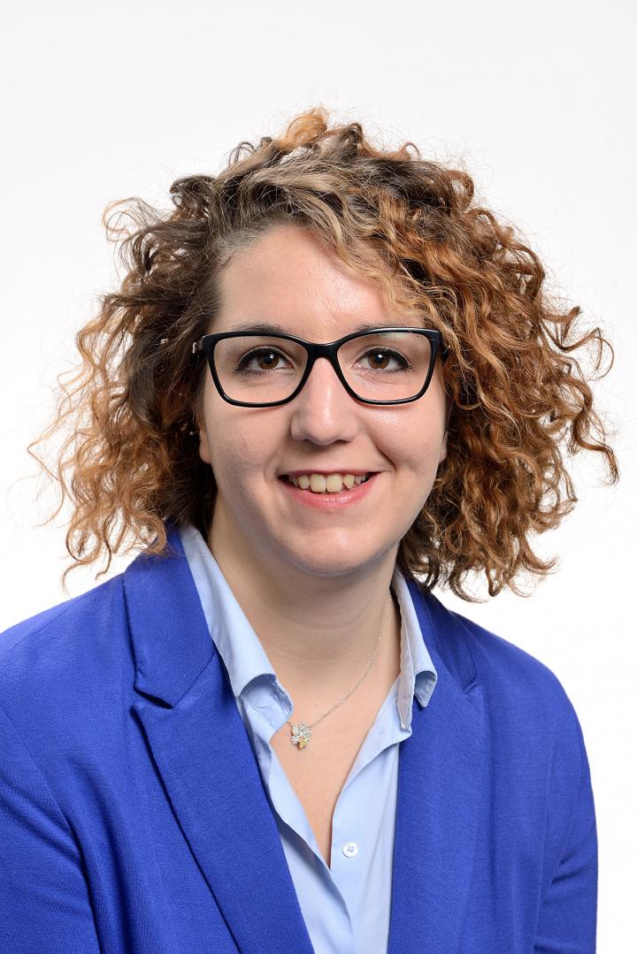 Dr. Francesca Gandini, University of Huddersfield