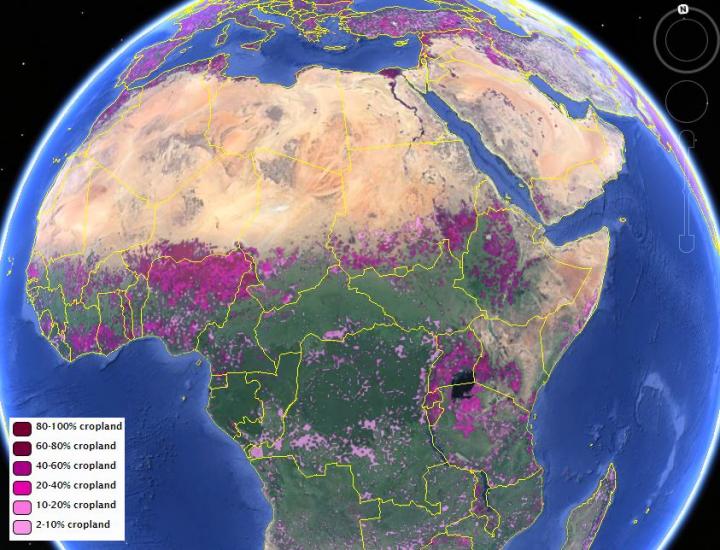 IIASA-IFPRI Global Cropland Map