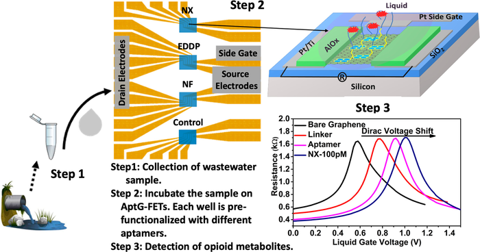 Graphene sensor detects opioids in wastewater