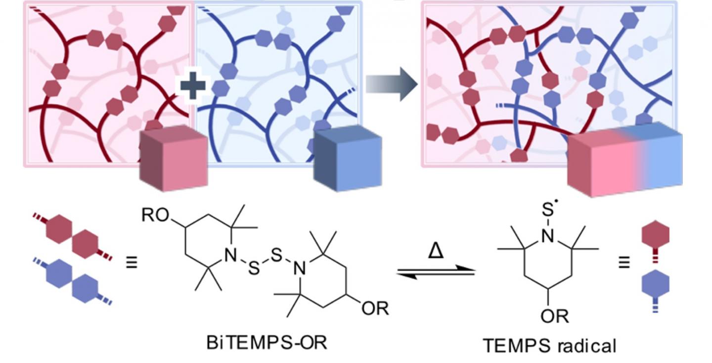 Figure 1. Cross-Linking of Different Polymers