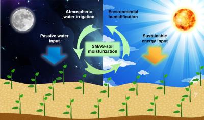 Self-Watering Soil Graphic