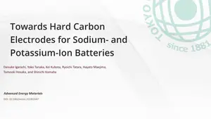 Template for Success: Shaping Hard Carbon Electrodes for Next-Generation  Batteries