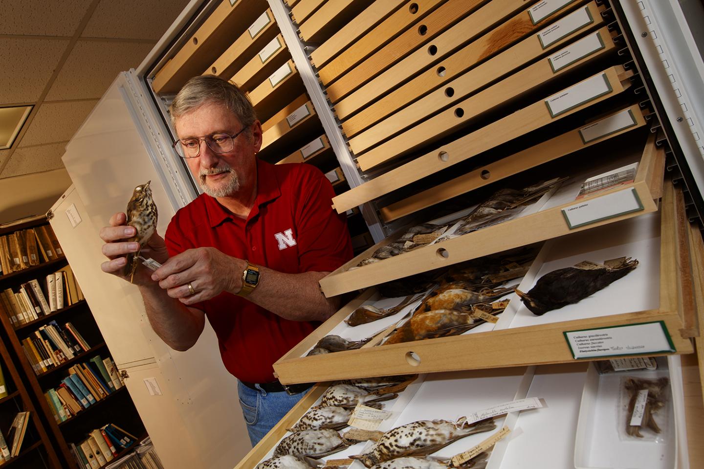Robert Zink, University of Nebraska-Lincoln