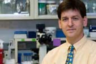 Patrick Zweidler-McKay, M.D. Ph.D., University of Texas M. D. Anderson Cancer Center