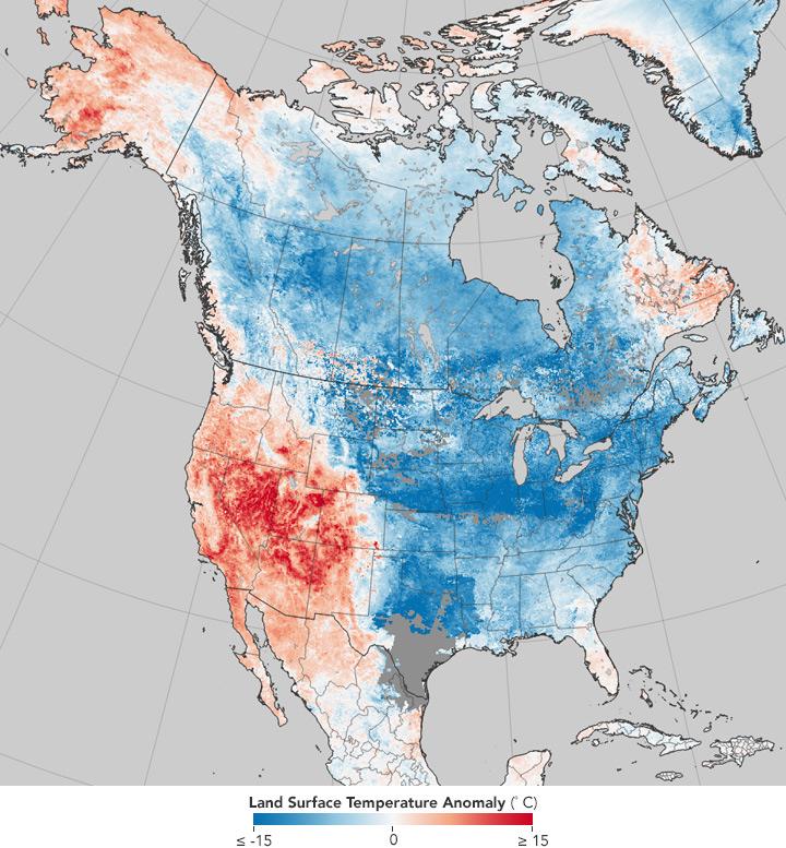 Climate Signals in Daily Weather