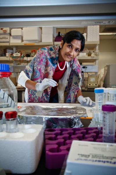 Shyni Varghese, University of California - San Diego