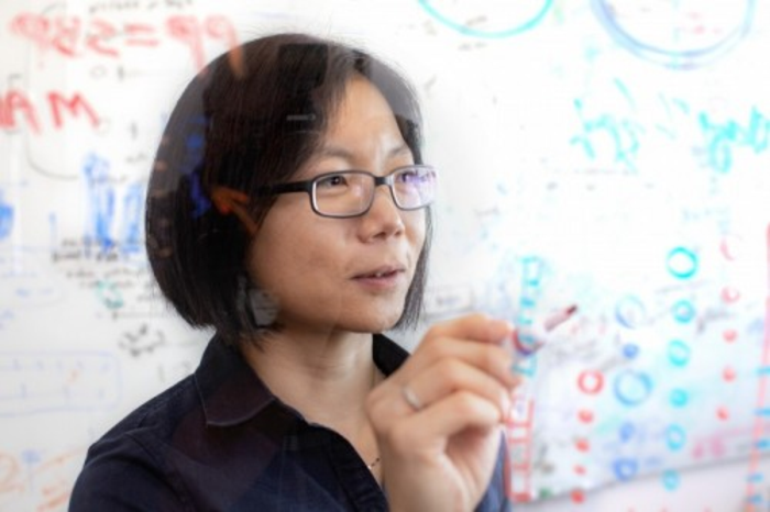 Genetics Determine Hypertension More in Women Than Men