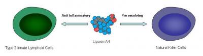 Lipoxin A4