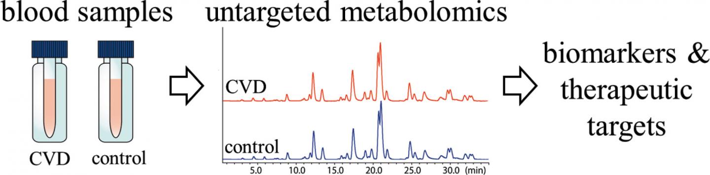 Novel biomarkers & therapeutic targets for at | EurekAlert!
