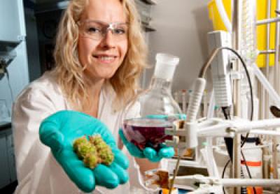 Dr. Jeannette Bjerre, University of Copenhagen