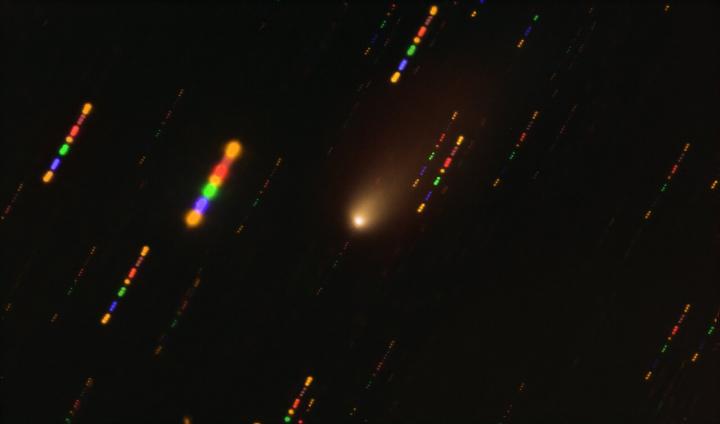 Image of the 2I/Borisov Interstellar Comet Captured with the VLT