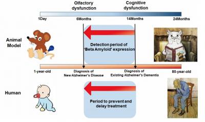 Progress of Alzheimer's Disease