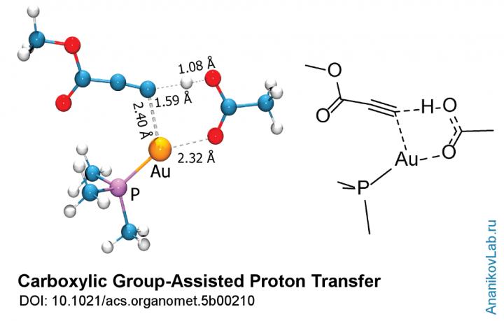 Carboxylic Group-Assisted Proton Transfer