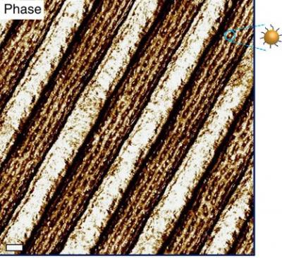 Self-Assembling Nanoparticle Composites (2 of 2)