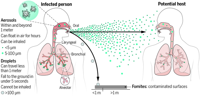 Print summary figure for this Science review