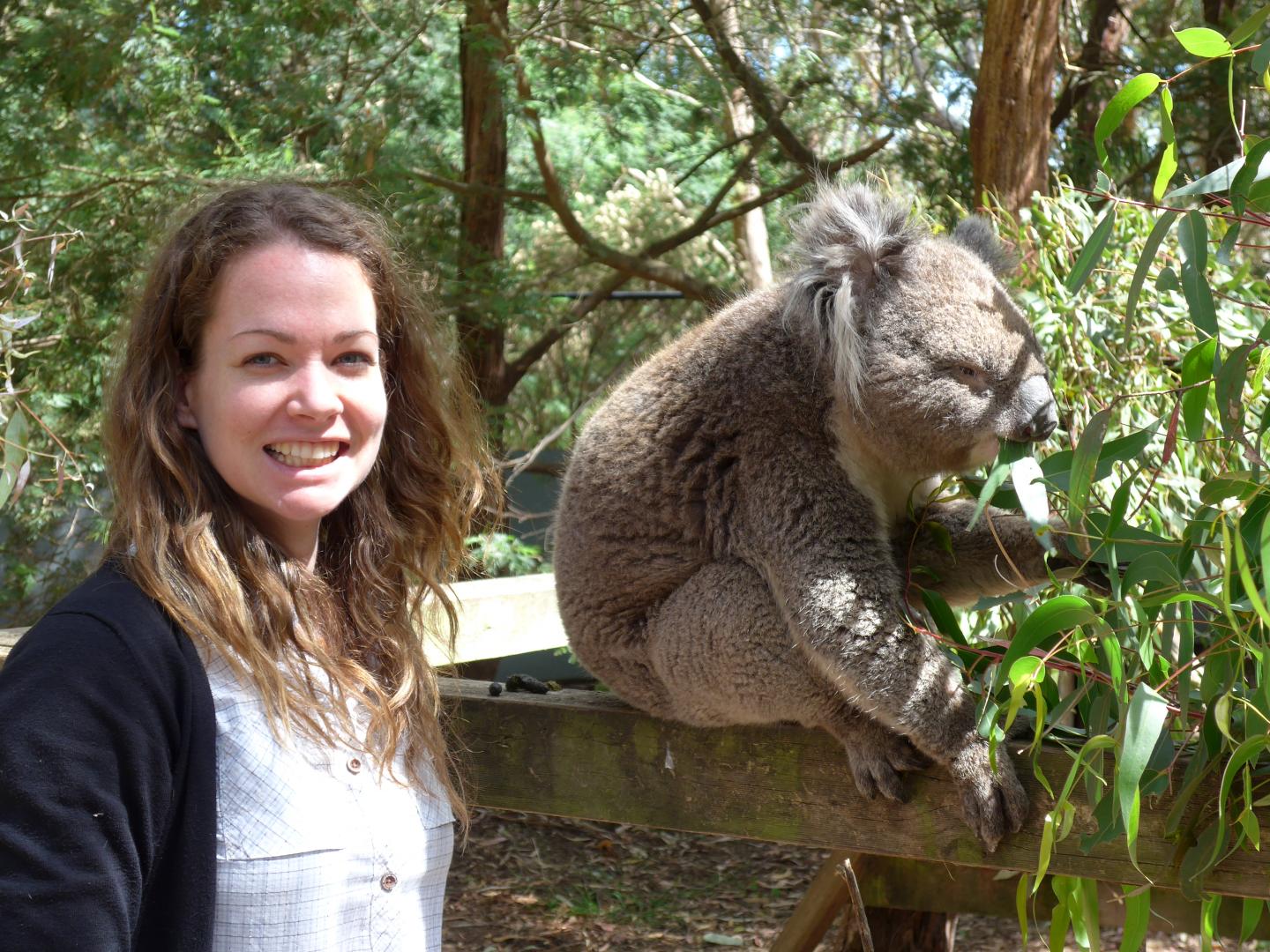 Elizabeth Neilson and a Koala