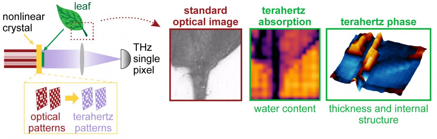 Time-Resolved Nonlinear Ghost Imaging Camera