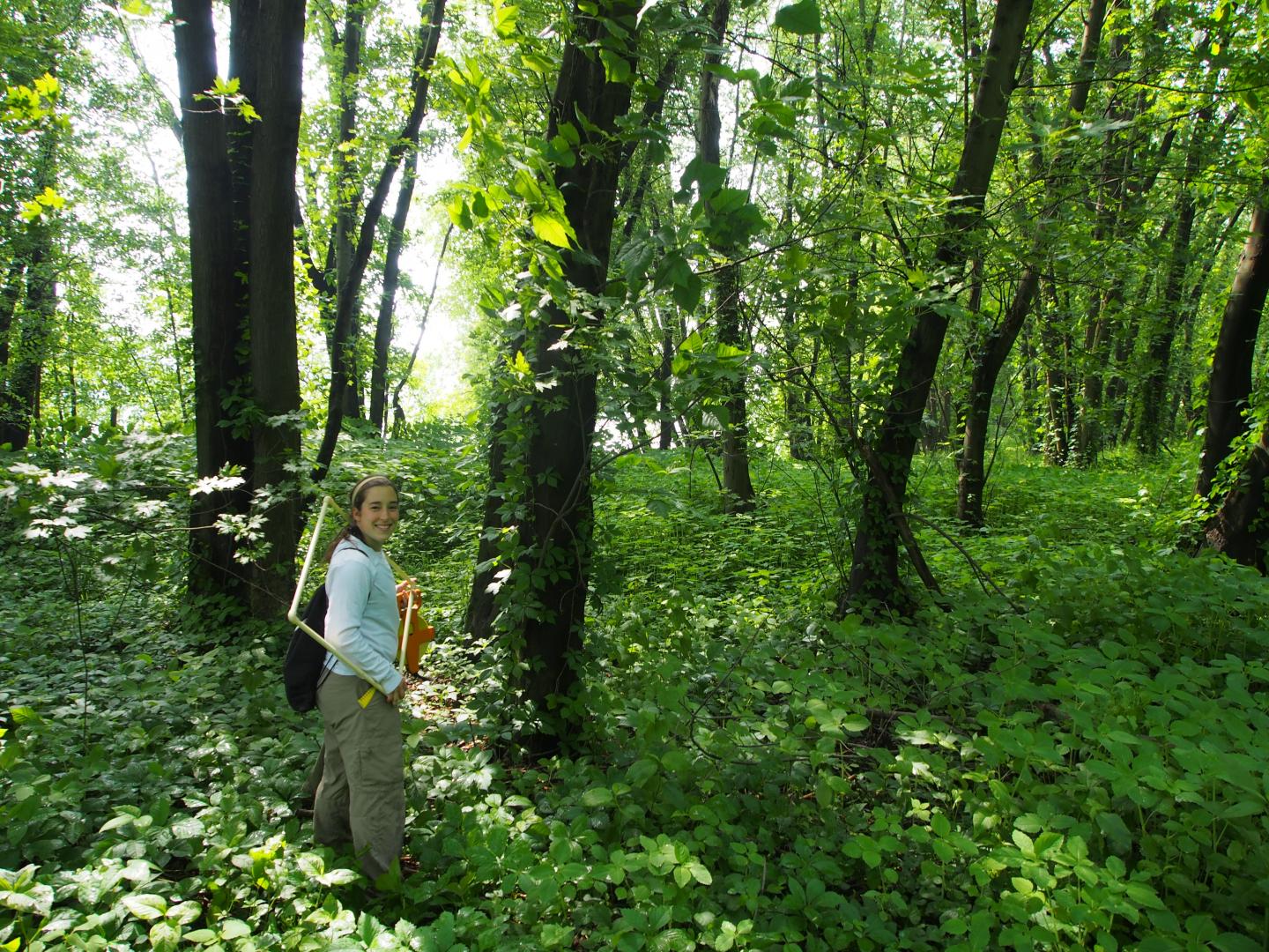 Anna Freundlich, Co-Author of the Study