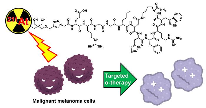 Targeted alpha therapy as a new therapeutic strategy for treating metastatic melanoma.