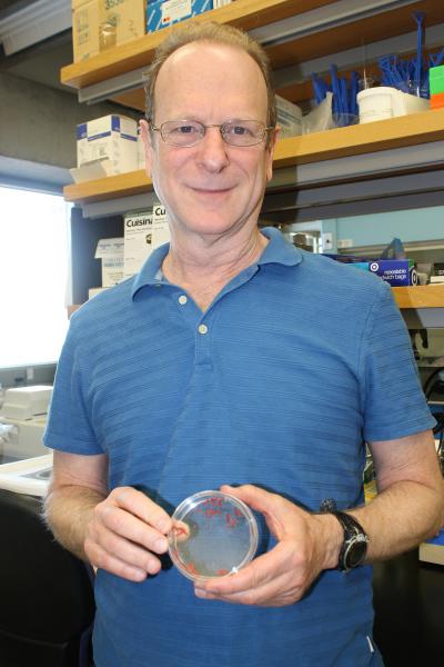 Bruce Tabashnik, University of Arizona