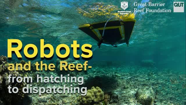 Robots and the Reef