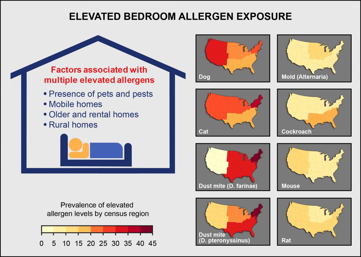 Elevated Bedroom Allergen Exposure