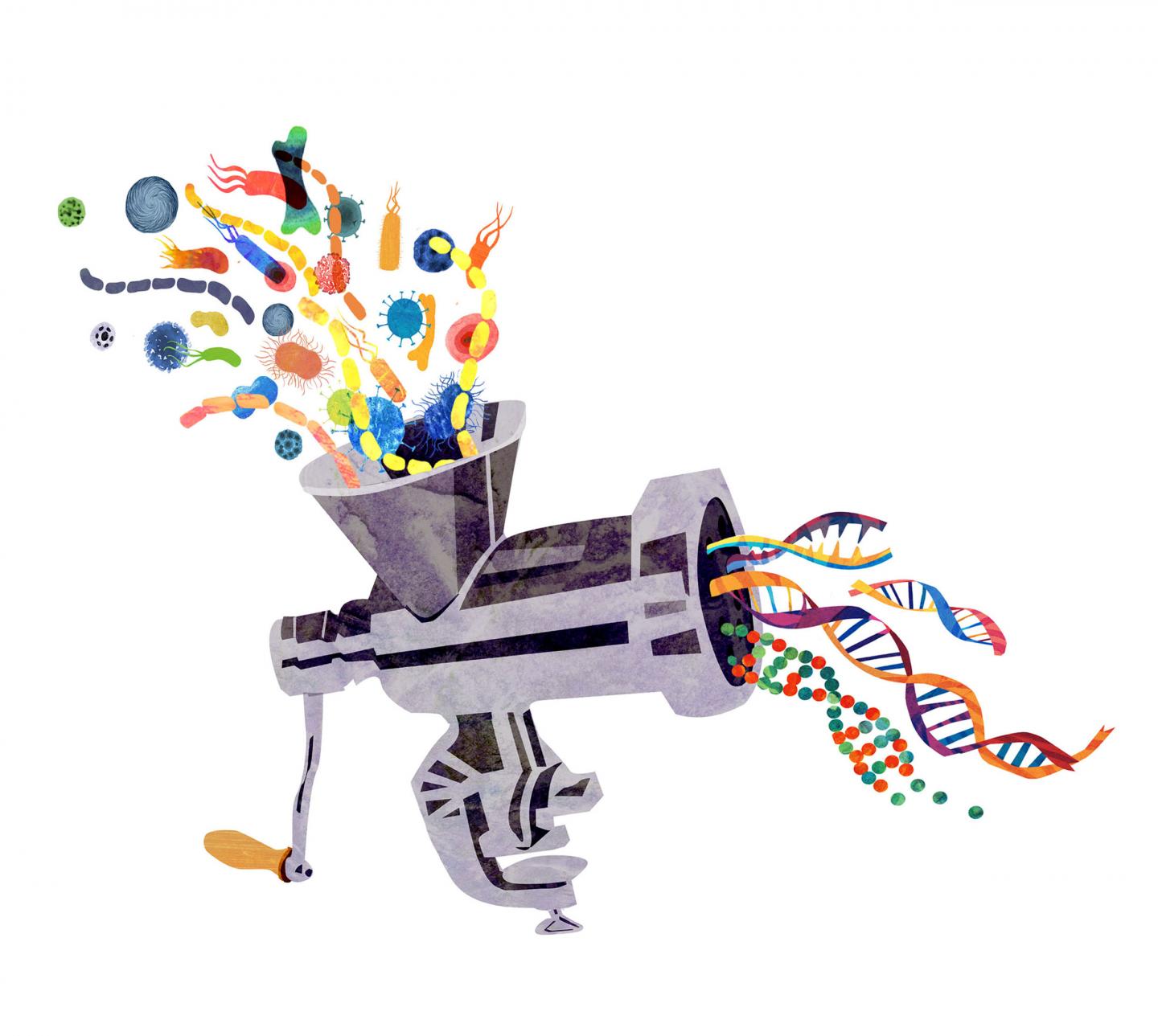 MetaFast Work Process