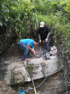 Field workers prepare to use an electric power saw to extract the block containing the fossil specimen