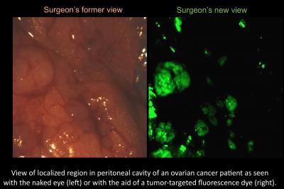 A Surgeon's View