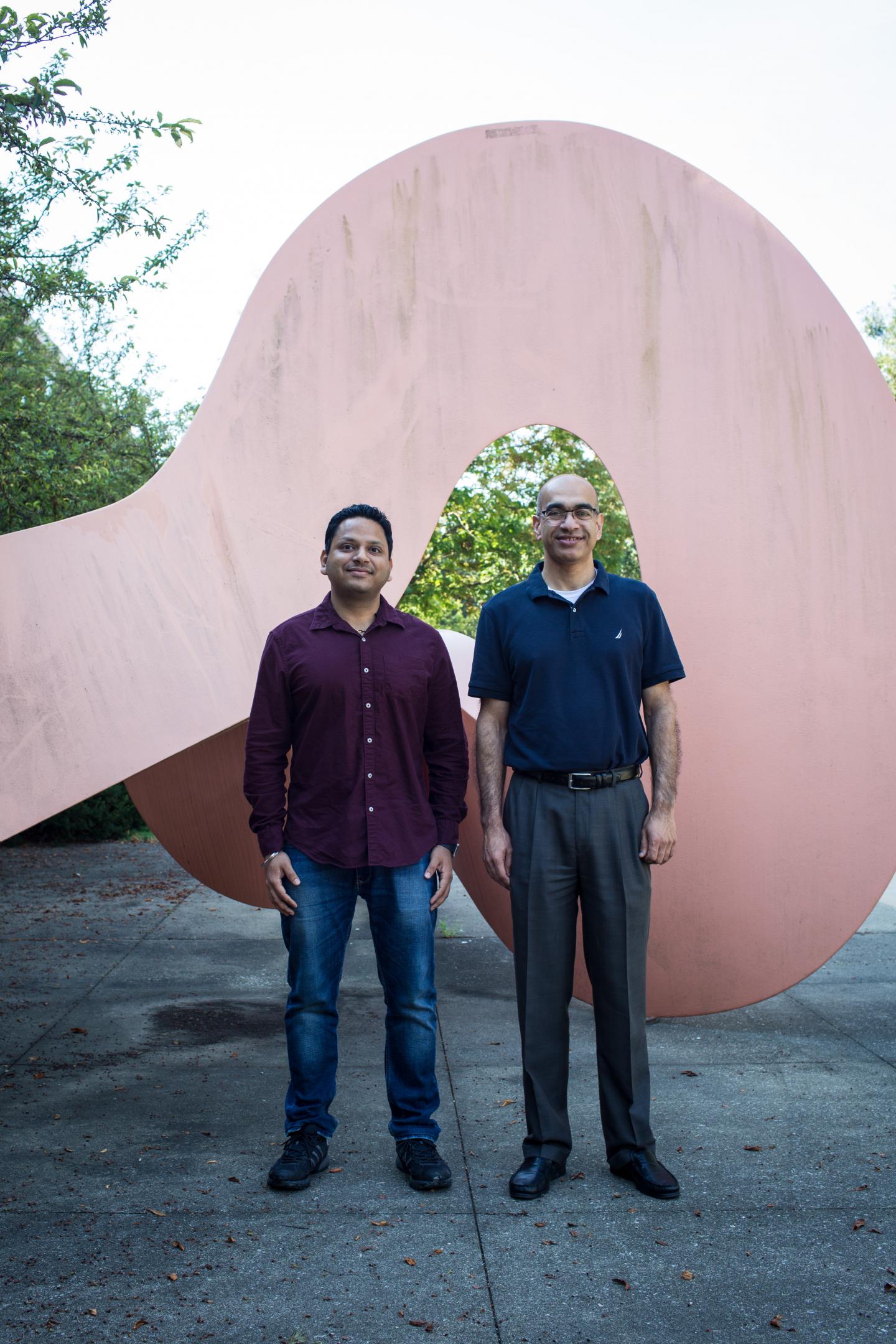 Deepak Kumar and Vijay Singh, University of Illinois