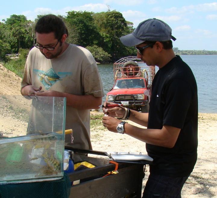 Field Work in Honduras