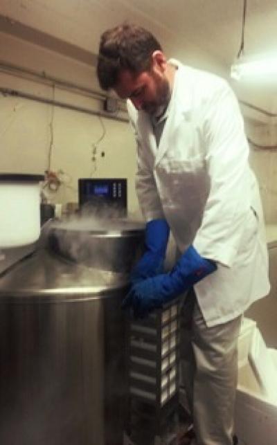 Robb Brumfield, Louisiana State University