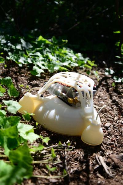 3-D Printed Functionally Graded Soft Robot Outside