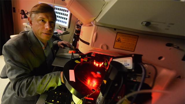 Sergei Kirov, Medical College of Georgia at Georgia Regents University
