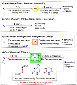 Manners on dinitrogen activation and transformation.