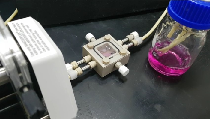 Picture of Tissue-engineered vascular microphysiological platform