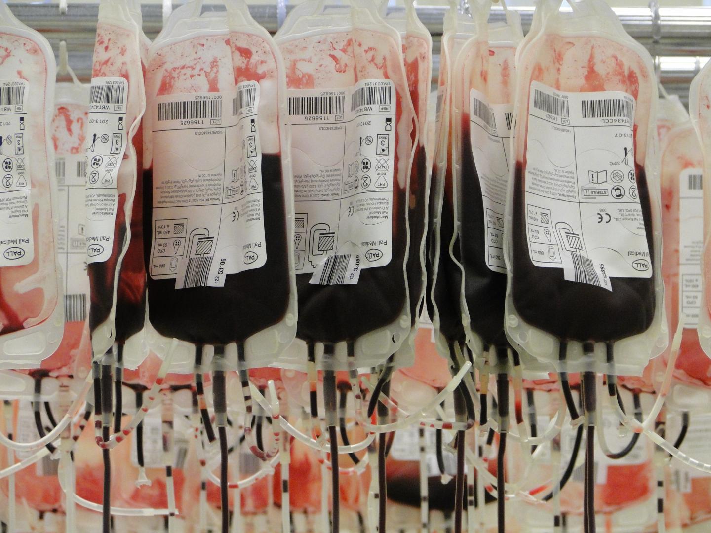 Blood Donation Bags [IMAGE]  EurekAlert! Science News Releases