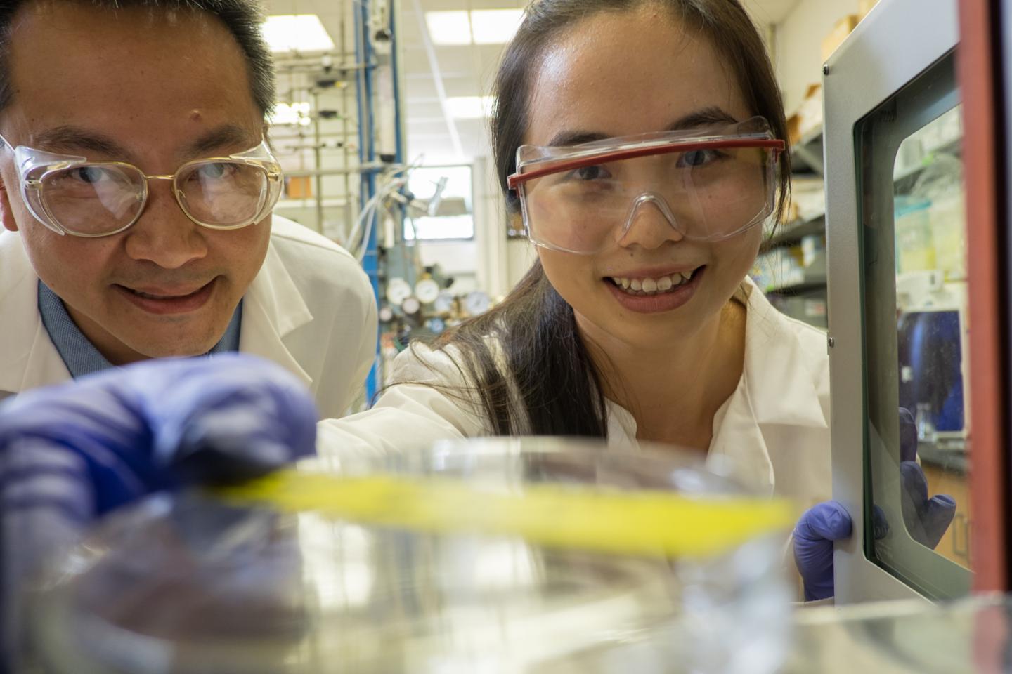 Rice University chemical engineers explore ma EurekAlert!