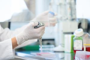 Working under sterile conditions in the cell culture lab.