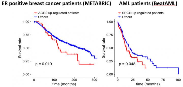 Cancer Patients and Survival Rates