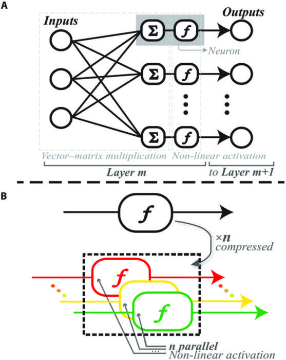 A fully convolutional network and an example of activation function multiplexing.