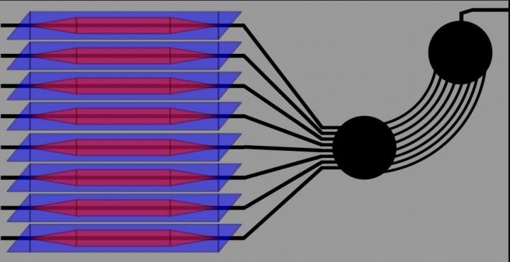 Schematic Shows Application of Arrayed Waveguide Gratings