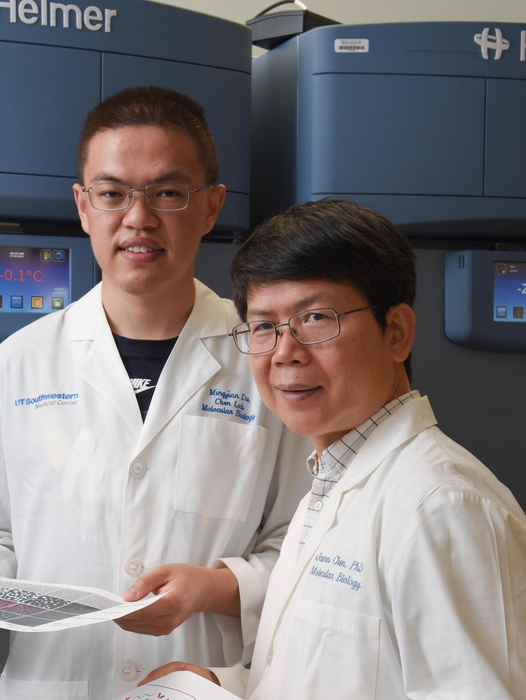 Phase separation found in immune response within cells