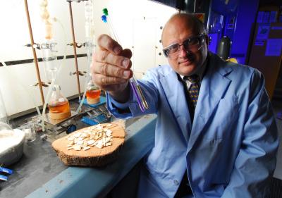 Professor Arthur J. Ragauskas, Georgia Institute of Technology