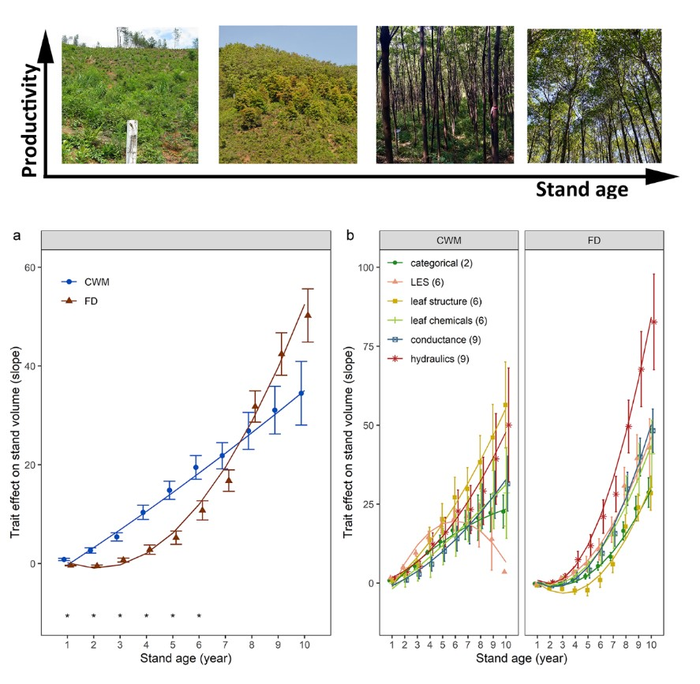 The effects of community-weighted mean (CWM) and functional diversity (FD)